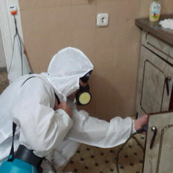 Дезинфекция от муравьев в квартире Воробьёвы горы метро Москвы