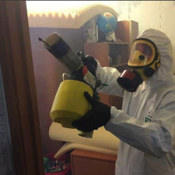 Уничтожение клопов в квартире. Воробьёвы горы