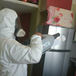 Уничтожение насекомых в квартире. Воробьёвы горы